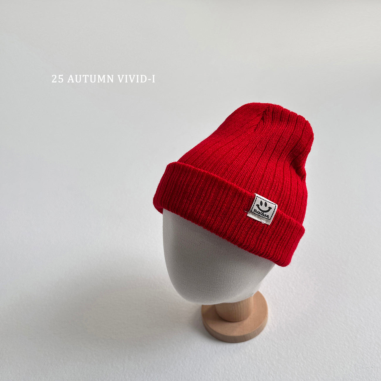 Color Beanie