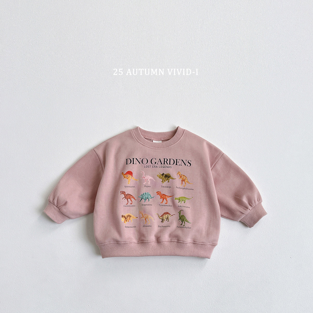 Mini Dino Sweatshirt