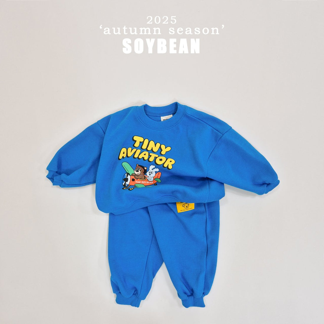 Little Airplane Set