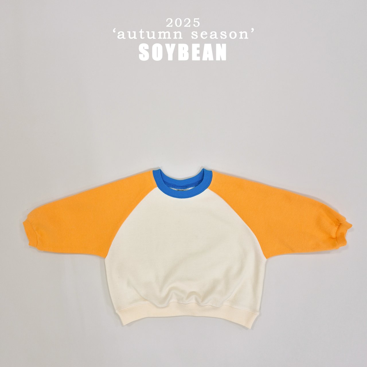 Color Pop Sweatshirt