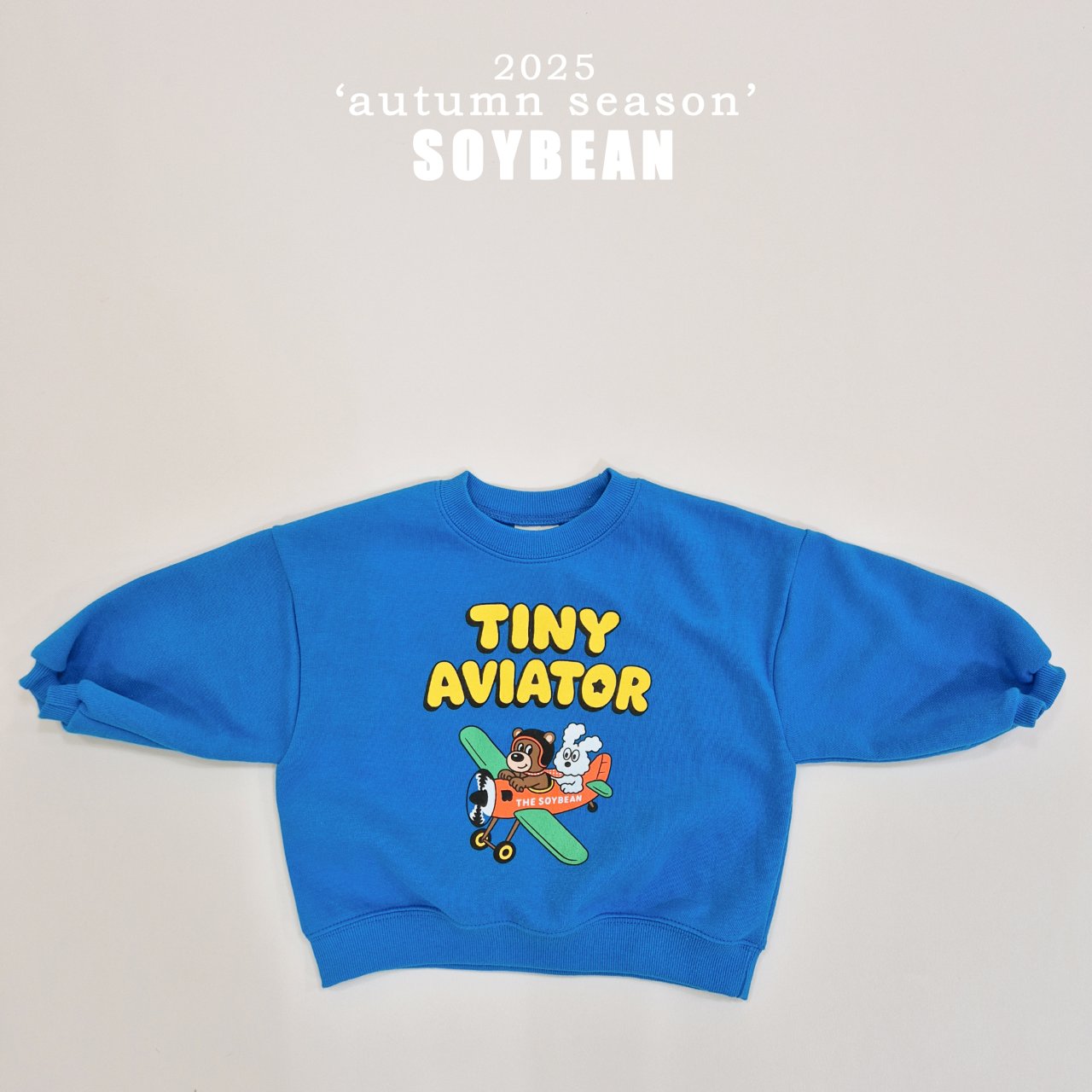 Little Airplane Set