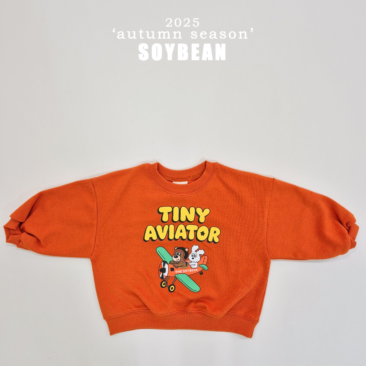 Little Airplane Set
