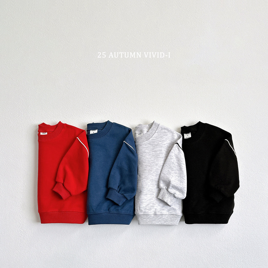 Stripe Line Sweatshirt