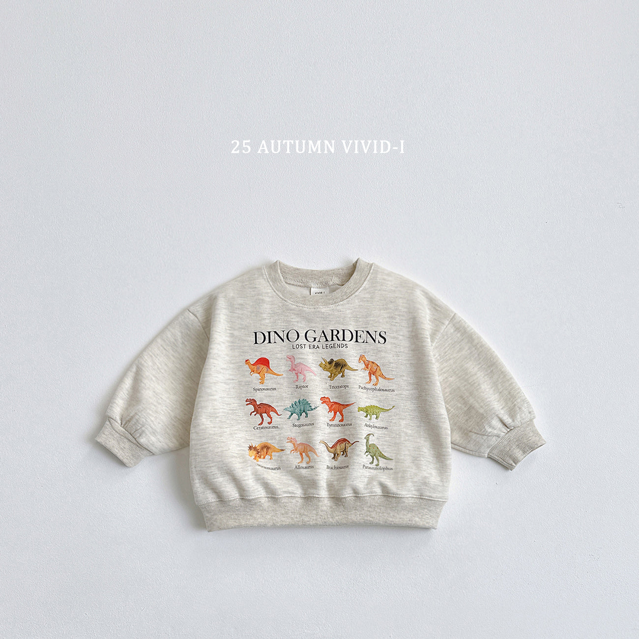 Mini Dino Sweatshirt