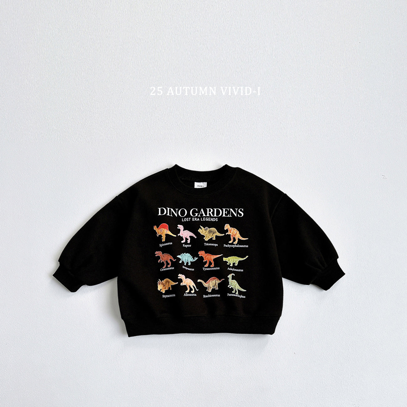 Mini Dino Sweatshirt