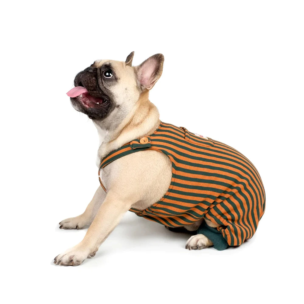 Retro Striped Overalls - Brown (-13.5kg)