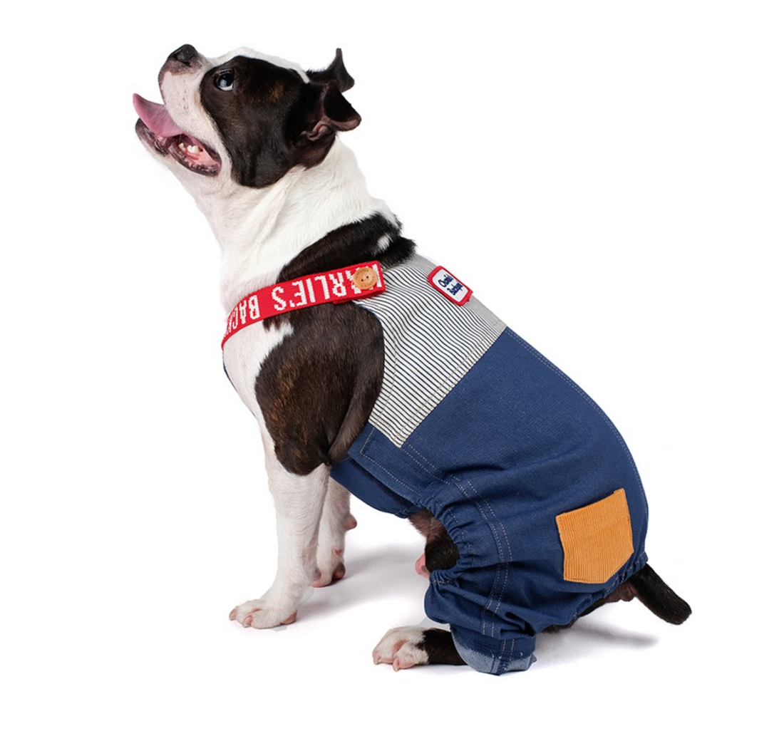 Camping Letter Suspender Overall - Denim (-13.5kg)
