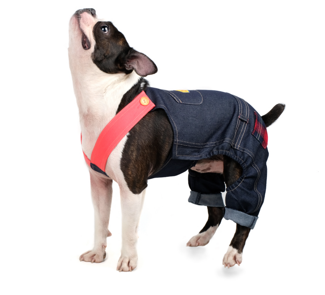 Carpenter Overalls - Denim (-10kg)